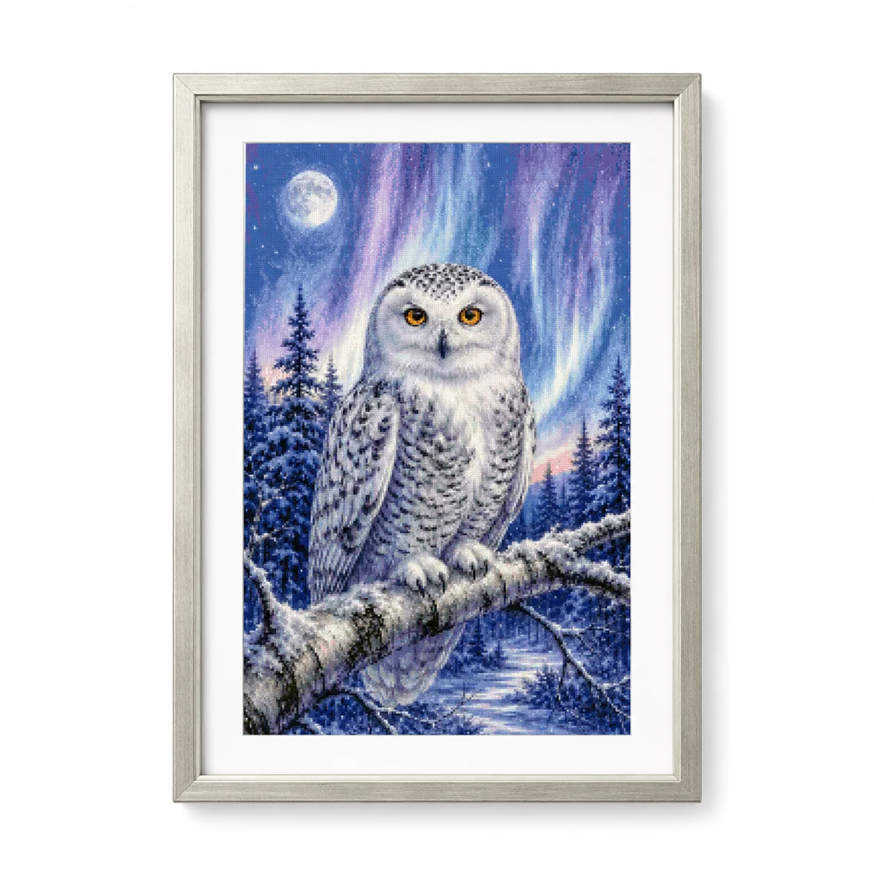 [ZZ8820-冬の時計フクロウ] |   初心者向けDIY - Cross Stitch Stamped Kits Beginners のレビューと価格